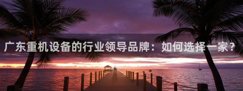 威九国际网站是多少：广东重机设备的行业领导品牌：如何选择一家