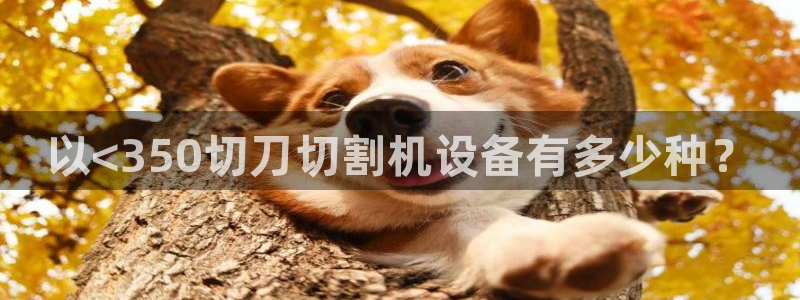 威九国际网站链接怎么打开