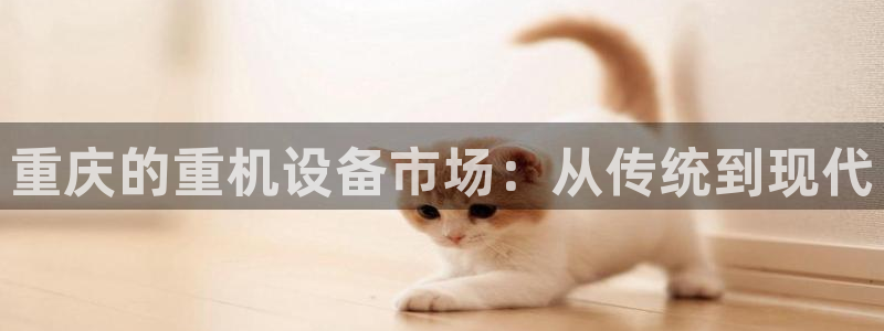威九国际APP大全：重庆的重机设备市场：从传统到现代