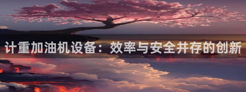 威九国际的金融服务怎么样：计重加油机设备：效率与安全并存的创
