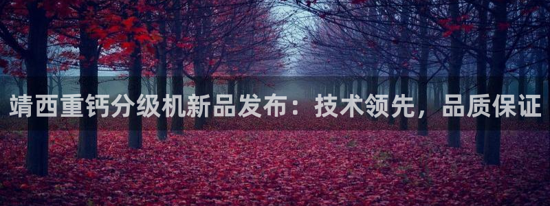 保定威九网络科技有限公司怎么样