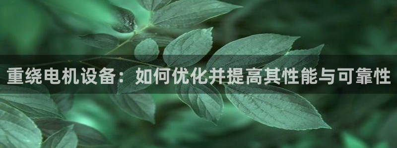 威九国际官方网站最新版本更新内容介绍：重绕电机设备：如何优化