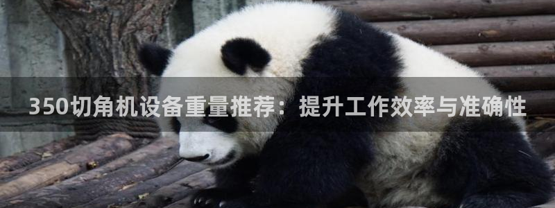 威九国际66：350切角机设备重量推荐：提升工作效率与准确性