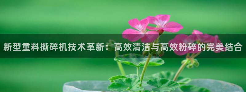 威九国际安全吗的认证团队