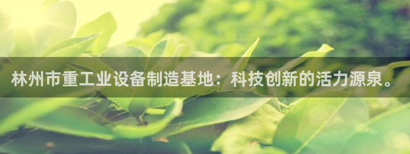 威九国际免费ppt网址