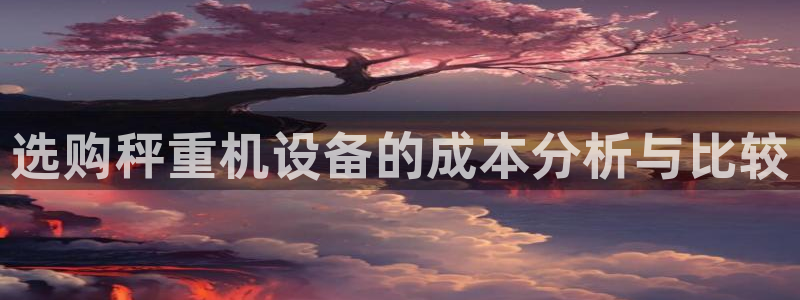 威九国际网站进入客服中心：选购秤重机设备的成本分析与比较