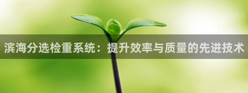威九国际在线平台怎么样啊：滨海分选检重系统：提升效率与质量的