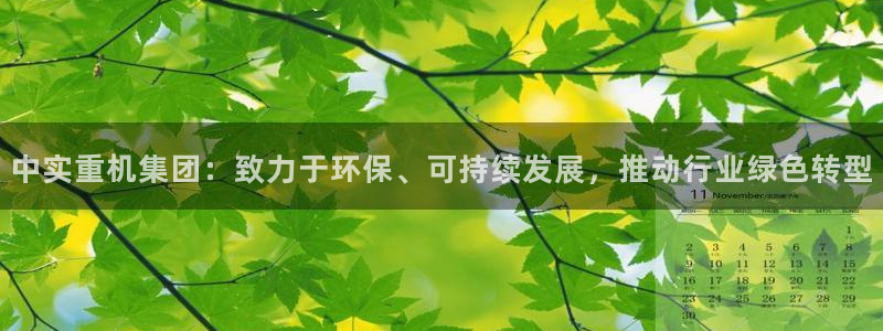 威九国际在线平台怎么样啊：中实重机集团：致力于环保、可持续发