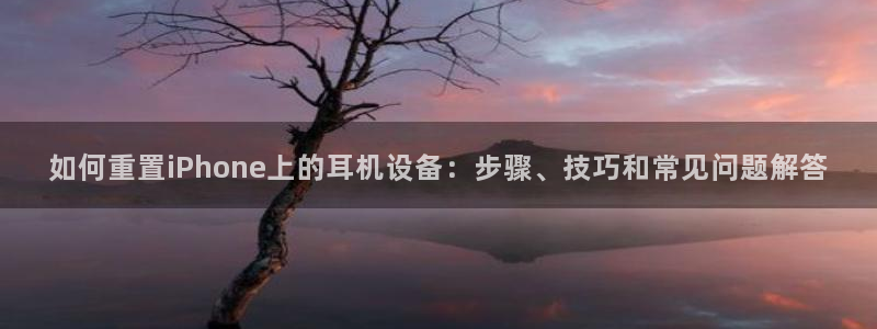 威九国际女主角：如何重置iPhone上的耳机设备：步骤、技巧