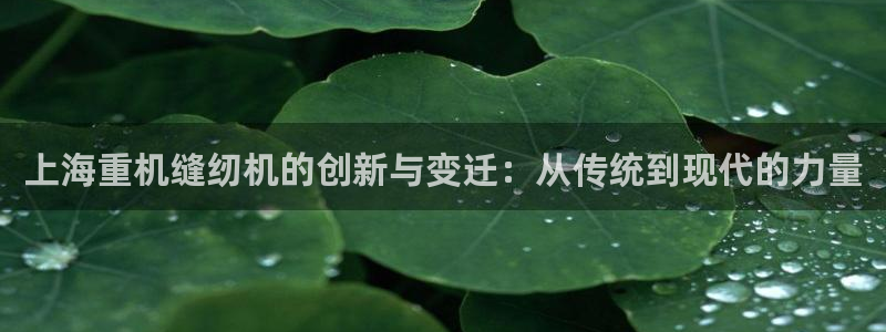 威九国际小剧场