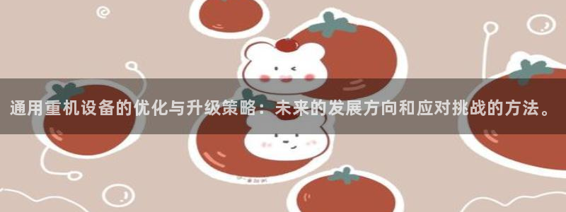 威九国际能提现吗是真的吗：通用重机设备的优化与升级策略：未来