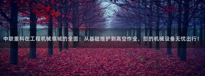 威九国际ppt官网