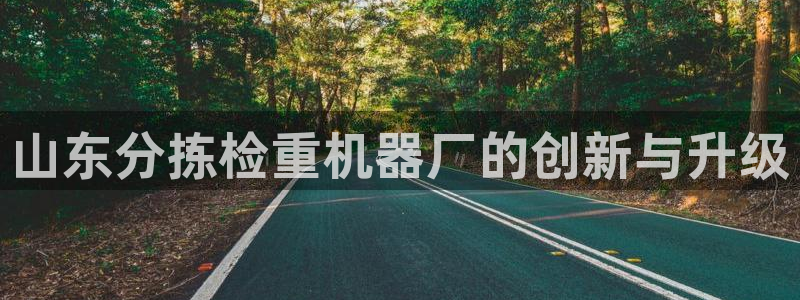 威九国际成长模式怎么样：山东分拣检重机器厂的创新与升级