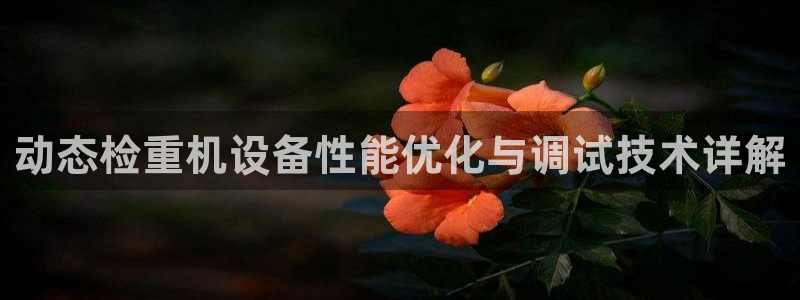 威九国际66mm66