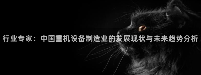 威九国际人民网:行业专家:中国重机设备制造业的发展现状与未来