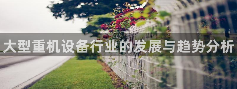 威九国际app客服电话号码：大型重机设备行业的发展与趋势分析