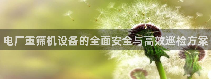 威九国际全国空降:电厂重筛机设备的全面安全与高效巡检方案