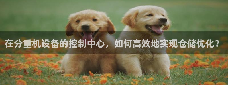 威九国际top：在分重机设备的控制中心，如何高效地实现仓储优