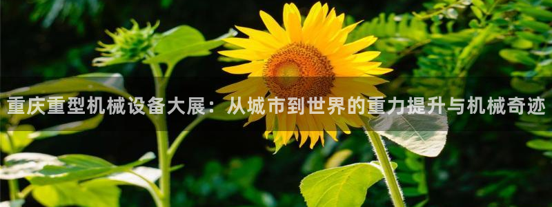 威九国际网站入口地址查询:重庆重型机械设备大展:从城市到世界