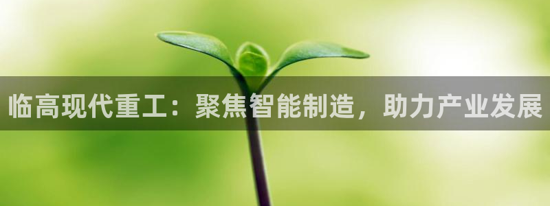 威九国际可以退钱吗怎么退的:临高现代重工:聚焦智能制造,助力