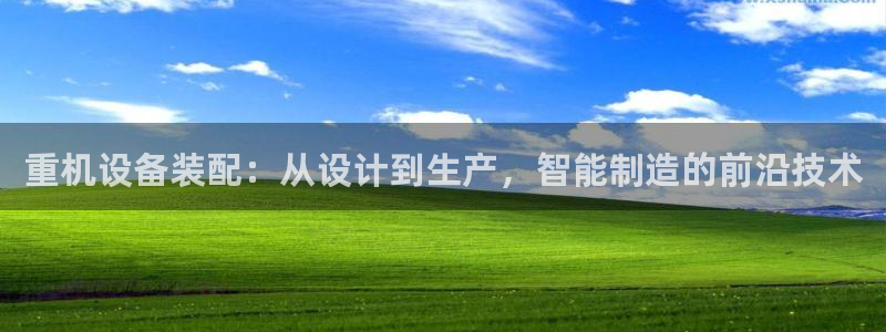 威九国际ppt官网