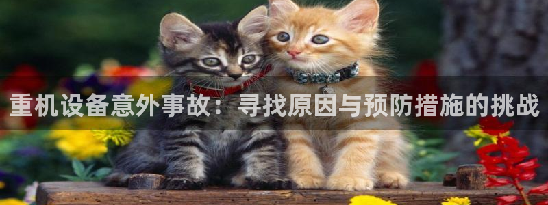 威九国际取款多到账：重机设备意外事故：寻找原因与预防措施的挑