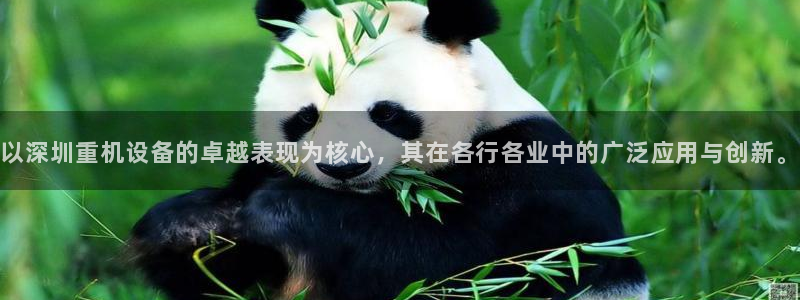 78mapp威九国际成长视频:以深圳重机设备的卓越表现为核心