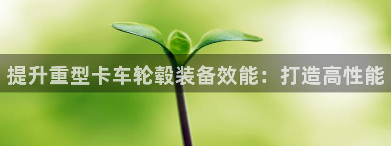 威九国际w98：提升重型卡车轮毂装备效能：打造高性能