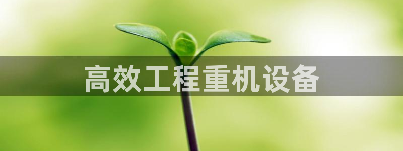 威九国际官方入口官网：高效工程重机设备