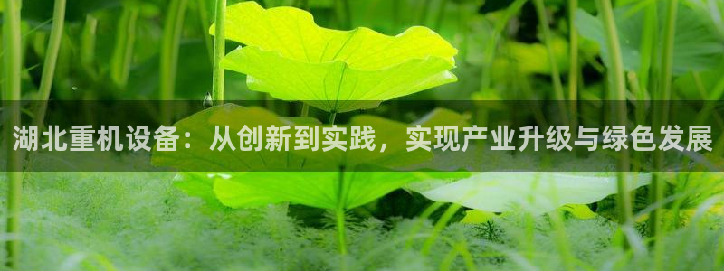 威九国际网页看视频弹窗的广告拦截插件：湖北重机设备：从创新到