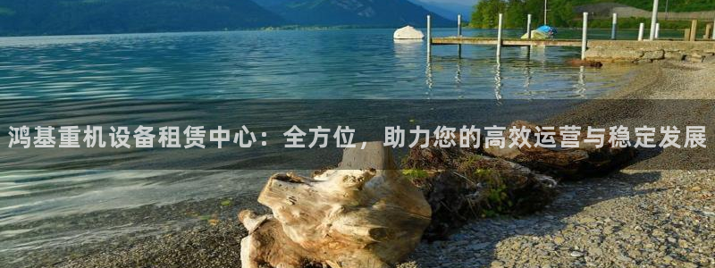 威九国际78m九妹：鸿基重机设备租赁中心：全方位，助力您的高