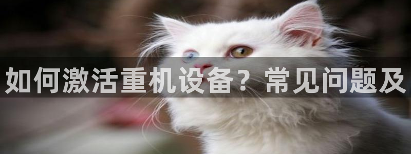 威九国际官方网站：如何激活重机设备？常见问题及