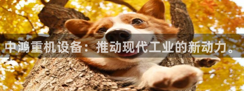 威九国际女演员好漂亮：中鸿重机设备：推动现代工业的新动力。