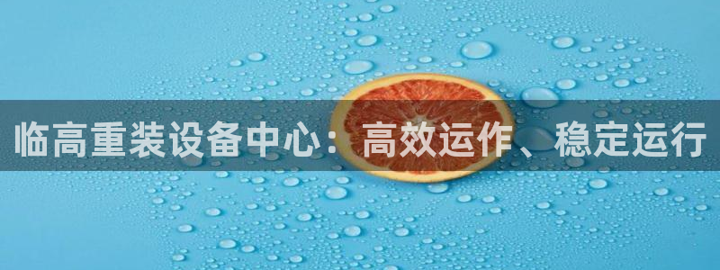 威九国际网站入口官网首页登录：临高重装设备中心：高效运作、稳