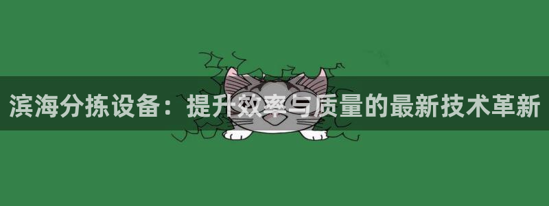 威九国际娜娜：滨海分拣设备：提升效率与质量的最新技术革新