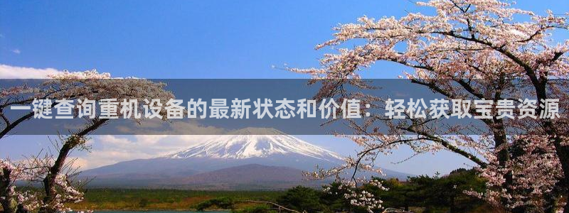 威九国际可以提现吗现在：一键查询重机设备的最新状态和价值：轻