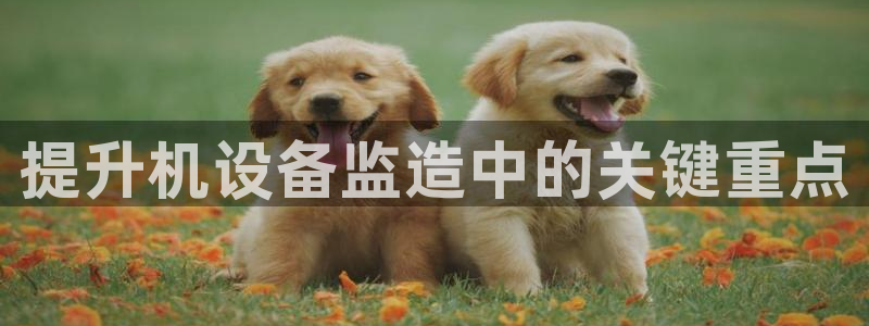 威九国际网站为什么不禁止