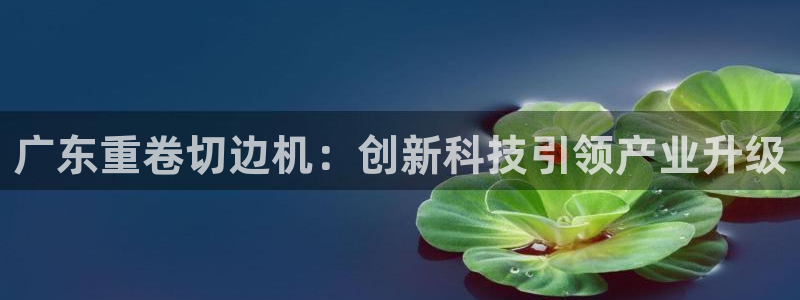 威九国际客服电话人工服务：广东重卷切边机：创新科技引领产业升
