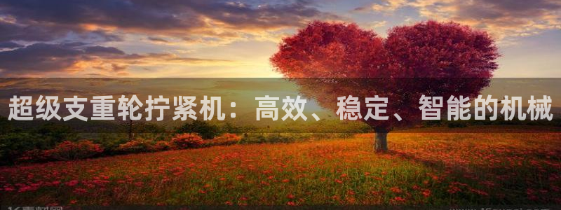 威九国际清砖码：超级支重轮拧紧机：高效、稳定、智能的机械