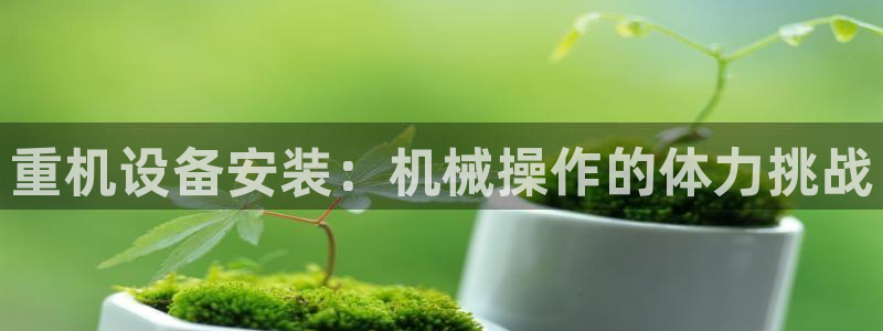 威九国际体育：重机设备安装：机械操作的体力挑战