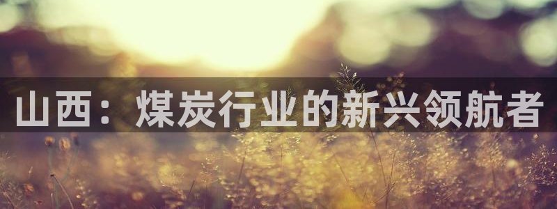 威九国际：山西：煤炭行业的新兴领航者