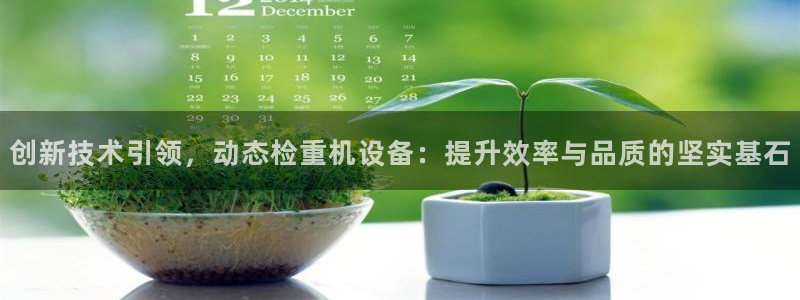 威九国际官网登录入口下载：创新技术引领，动态检重机设备：提升