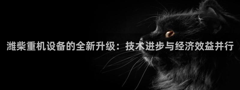 威九国际w98：潍柴重机设备的全新升级：技术进步与经济效益并