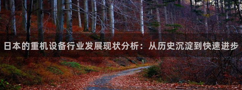 威九国际网站在哪里：日本的重机设备行业发展现状分析：从历史沉