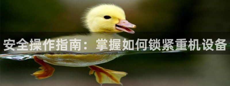 保定威九网络科技有限公司招聘：安全操作指南：掌握如何锁紧重机