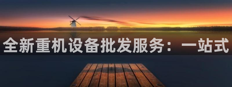 威九国际空降：全新重机设备批发服务：一站式