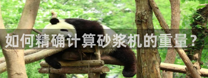 威九国际app入口在哪：如何精确计算砂浆机的重量？