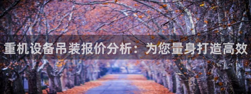 威九国际网站是多少：重机设备吊装报价分析：为您量身打造高效