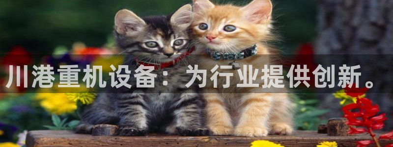 威九国际的网站入口在哪里