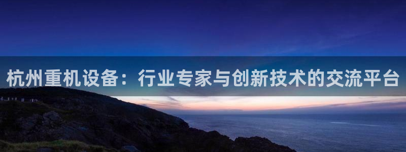 威九国际网站安全吗可靠吗：杭州重机设备：行业专家与创新技术的